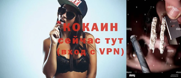 spice Алзамай