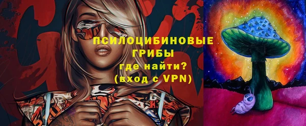 spice Алзамай