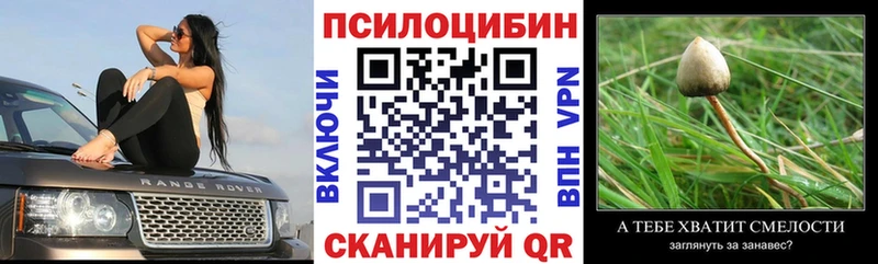 Галлюциногенные грибы мицелий  закладка  Киров 